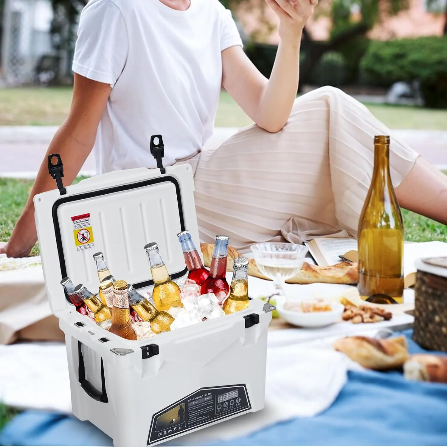 20 Quart Hard Camping Cooler, Portable Insulated Ice Chest Cooler Box with Heavy Duty Handle, 5-Day Ice Retention, Great for Beach, Camping, Picnic, BBQ, Fishing