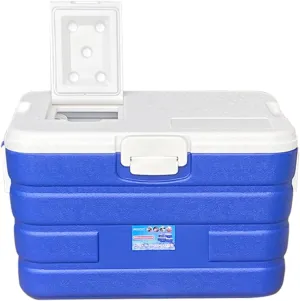 40 Liter Large Capacity Portable Cooler with Skylight and Drain for Family Picnics and Everyday Use, Blue