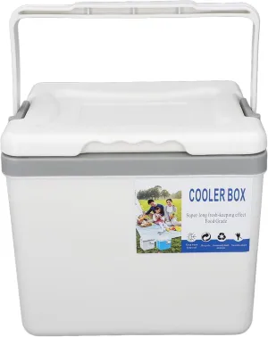 6L Portable Cooler Box Ice Chest, Leak Proof Insulated Cooler Keeps Food Freshness, with Sturdy Handles for Camping, Picnic, Fishing, Market, Grocery