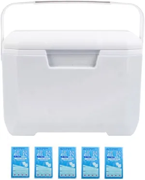 6L Portable Cooler Box with Heavy Duty Handle & Leakproof Design, Insulated Hard Ice Box with Lightweight Build & Large Capacity, Portable Cooler for Outdoor BBQ, Camping, Beach White