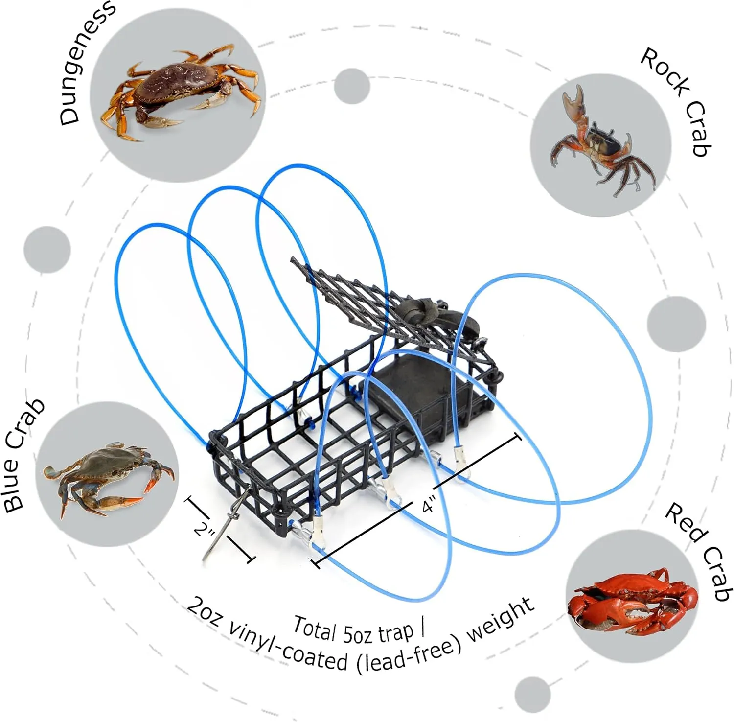 AirFly 6-Loops Crab Trap for Fishing Poles: Perfect for Catching Dungeness, Rock, and Blue Crabs, Made in The USA (Includes Bait and Reserve Loops)