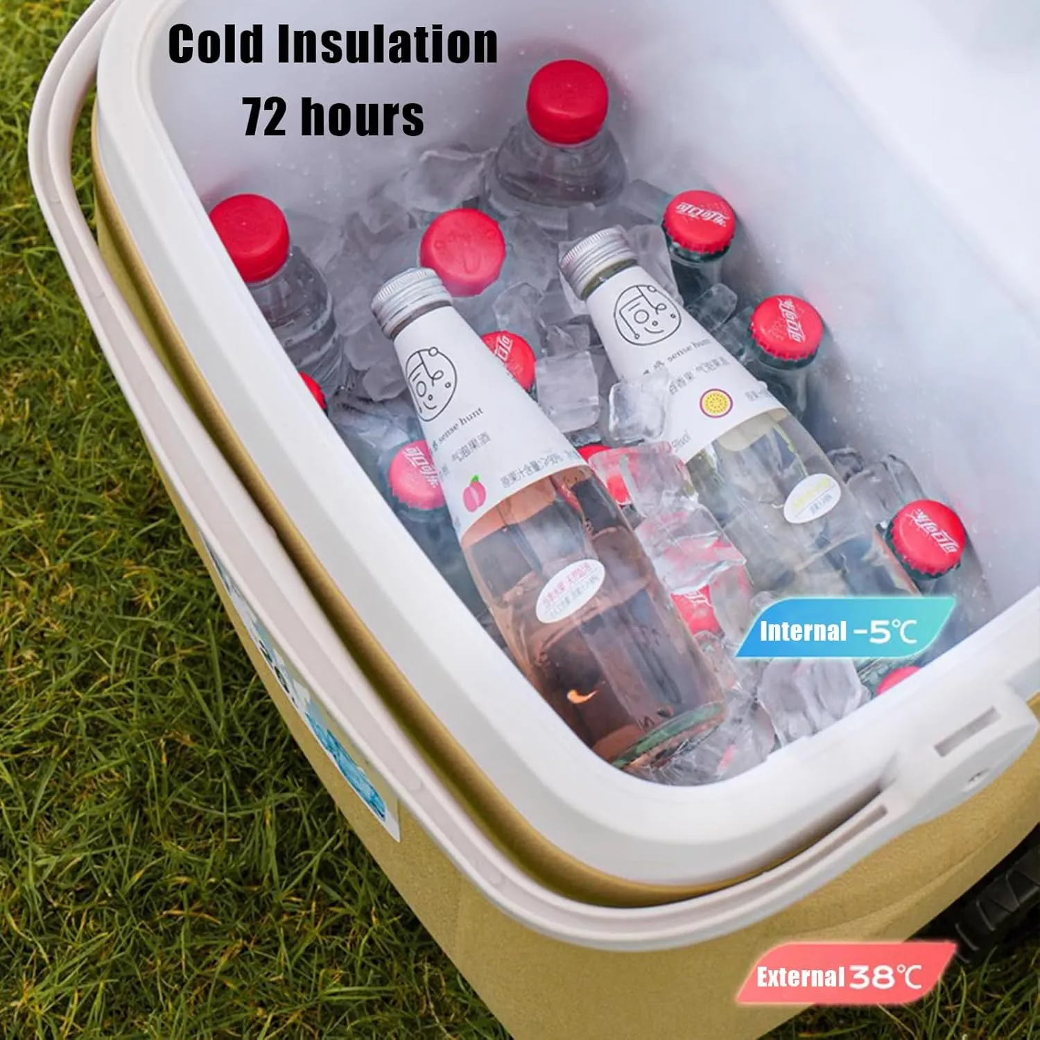 Automotive Camping Coolers for Packard Executive/Pacific/Patrician, Leak-Resistant Outdoor Hard Cooler Portable Insulated Cooler for Travel, Camping, Picnic,M