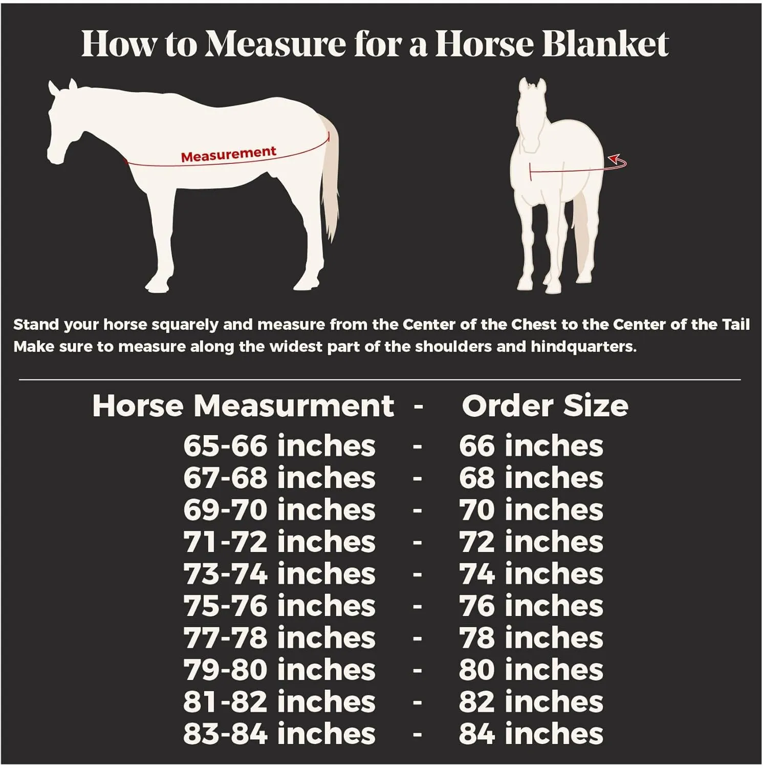 Blizzard II Horses Turnout Blanket | Euro Fit Coverage | 1200 Ripstop Polyester | Waterproof Horse Sheet | Horse Rain Sheet