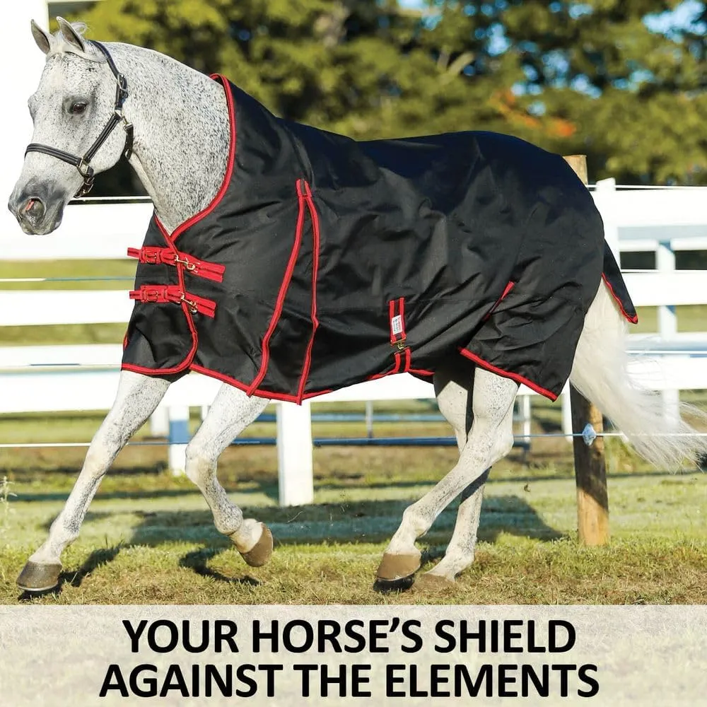 Blizzard II Horses Turnout Blanket | Euro Fit Coverage | 1200 Ripstop Polyester | Waterproof Horse Sheet | Horse Rain Sheet
