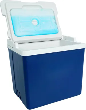 Camping Cooler 10.5 Qt Large Capacity Picnic Cooler Insulated Hard Cooler Portable Cooler with Handle ＆ Ice Pack Small Ice Chest Keeps Cold or Hot for Grill, Beach Cooler