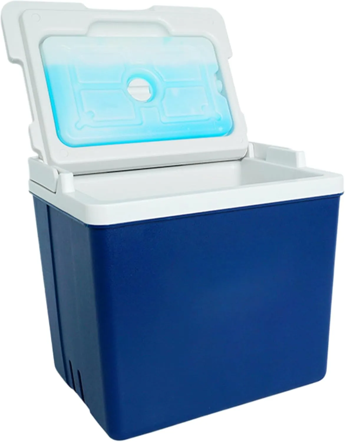 Camping Cooler 10.5 Qt Large Capacity Picnic Cooler Insulated Hard Cooler Portable Cooler with Handle ＆ Ice Pack Small Ice Chest Keeps Cold or Hot for Grill, Beach Cooler