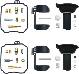 Carburetor Repair Kit for Hyosung GV250 / GT250 / GT250R - Includes Float, Diaphragm Assy & Rebuild Parts(GT250-A)