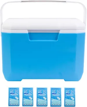 Chiller Series Insulated Portable Cooler,6L Portable Cooler Box with Heavy Duty Handle Lightweight Leakproof Outdoor BBQ Camping Beach Picnic Insulated Hard Ice Box for Beach, Picnic, Campin