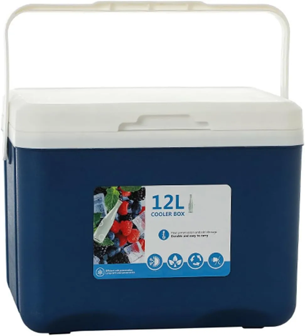 Cooler for Cadillac Series Seventy-Five/Series Sixty/Seville/SRX Insulated Hard Ice Box Large High-Performance Storage Box Portable Cool Picnic Box Festival Camping,B-31.5 * 23 * 25.5cm