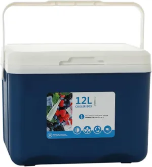 Cooler for Cadillac Series Seventy-Five/Series Sixty/Seville/SRX Insulated Hard Ice Box Large High-Performance Storage Box Portable Cool Picnic Box Festival Camping,B-31.5 * 23 * 25.5cm