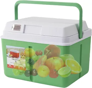 Cooler for Car - Portable 5L/8L Personal Cooler,Insulated Ice Chest for Fishing Car Offices Golf Travel Beach Truck Sports Hiking