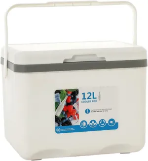 Cooler for Lexus ES/GX/is/LBX/LC/LM/LS/LX/NX/RC/RX Insulated Hard Ice Box Large High-Performance Storage Box Portable Cool Picnic Box Festival Camping Accessories,A-31.5 * 23 * 25.5cm