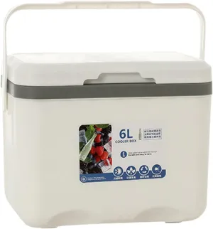 Cooler Insulated Box 6L Personal for Freeze/Hot Food Ice Chest Small Hard for Fishing Boat Camping Outdoor