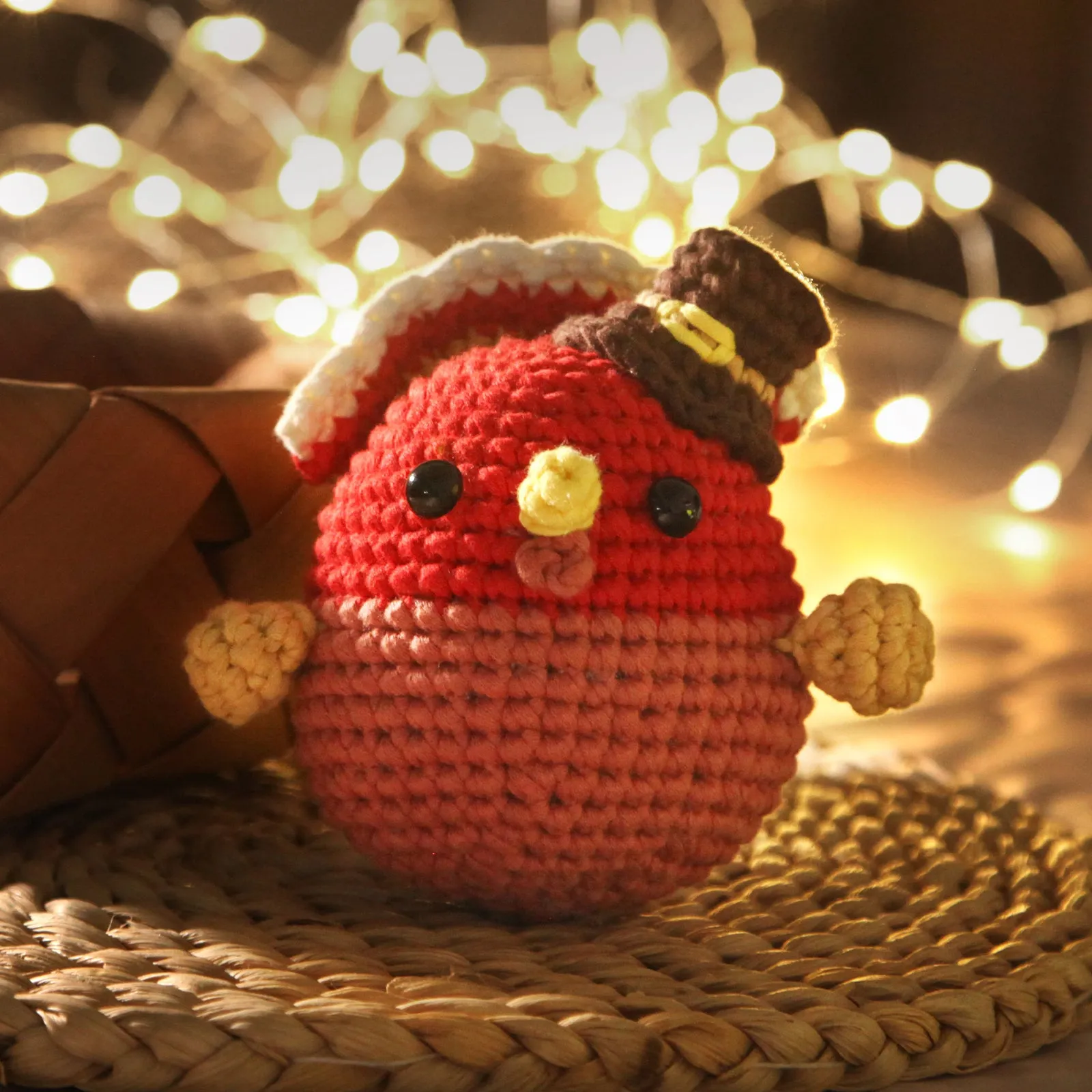 CROCHET BOX Crochet Kit for Beginners—— Turkey