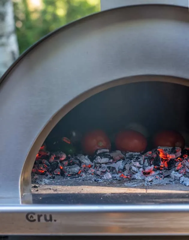 Cru Ovens Champion Outdoor Wood-Fired Pizza Oven - CRUOCHG1