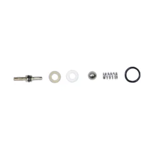 Detail Tool Valve Repair Kit