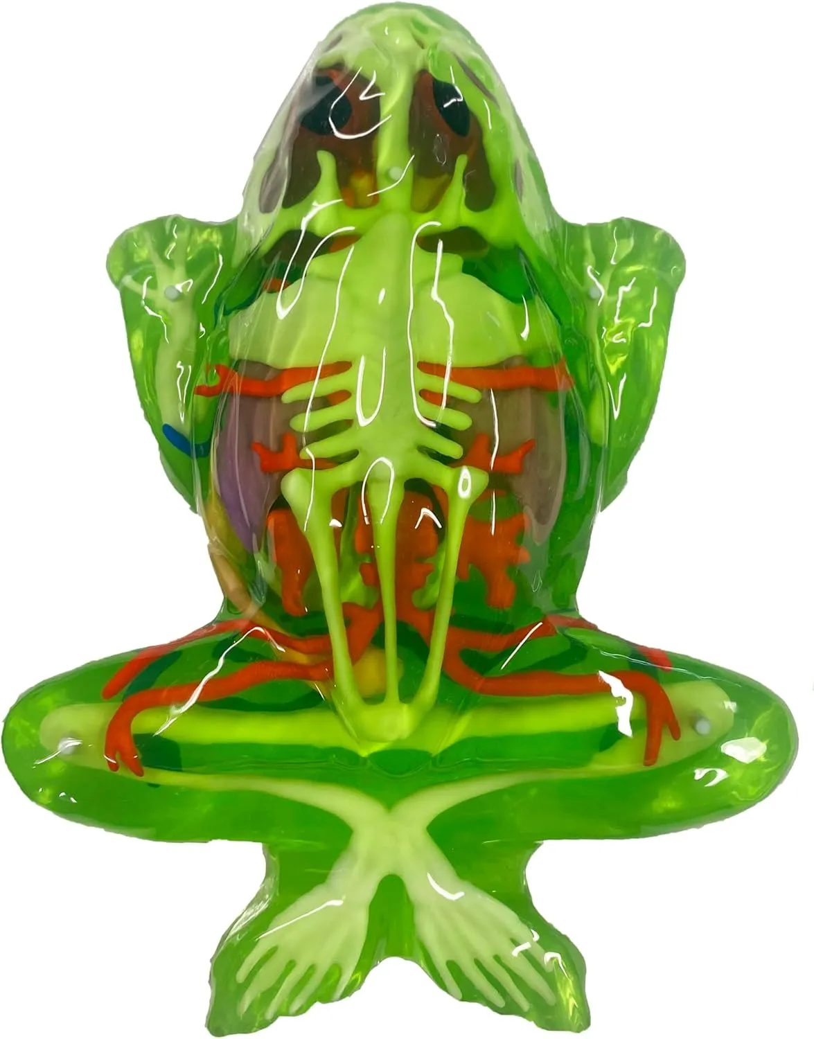 Dissect-It Kit for Kids 6 Plus, Simulated Synthetic Lab Dissection Toy | Frog Super Lab | Authenticated STEM Toys | Kids Learn Animal Science, Biology, and Anatomy