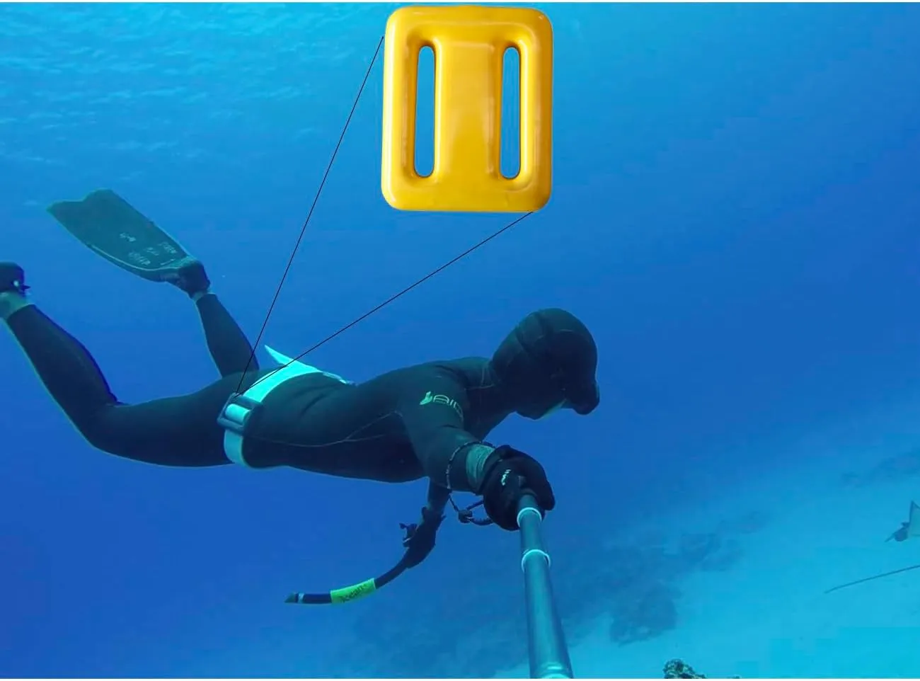 Dive Weights for Scuba Diving Weight Belt(1lb-4.4lb / 0.5kg-2kg),Vinyl Scuba Weights, Coated Dive Weights,Coated Lead Diving Weights, Dive Belt Weights for Freediving, Spearfishing