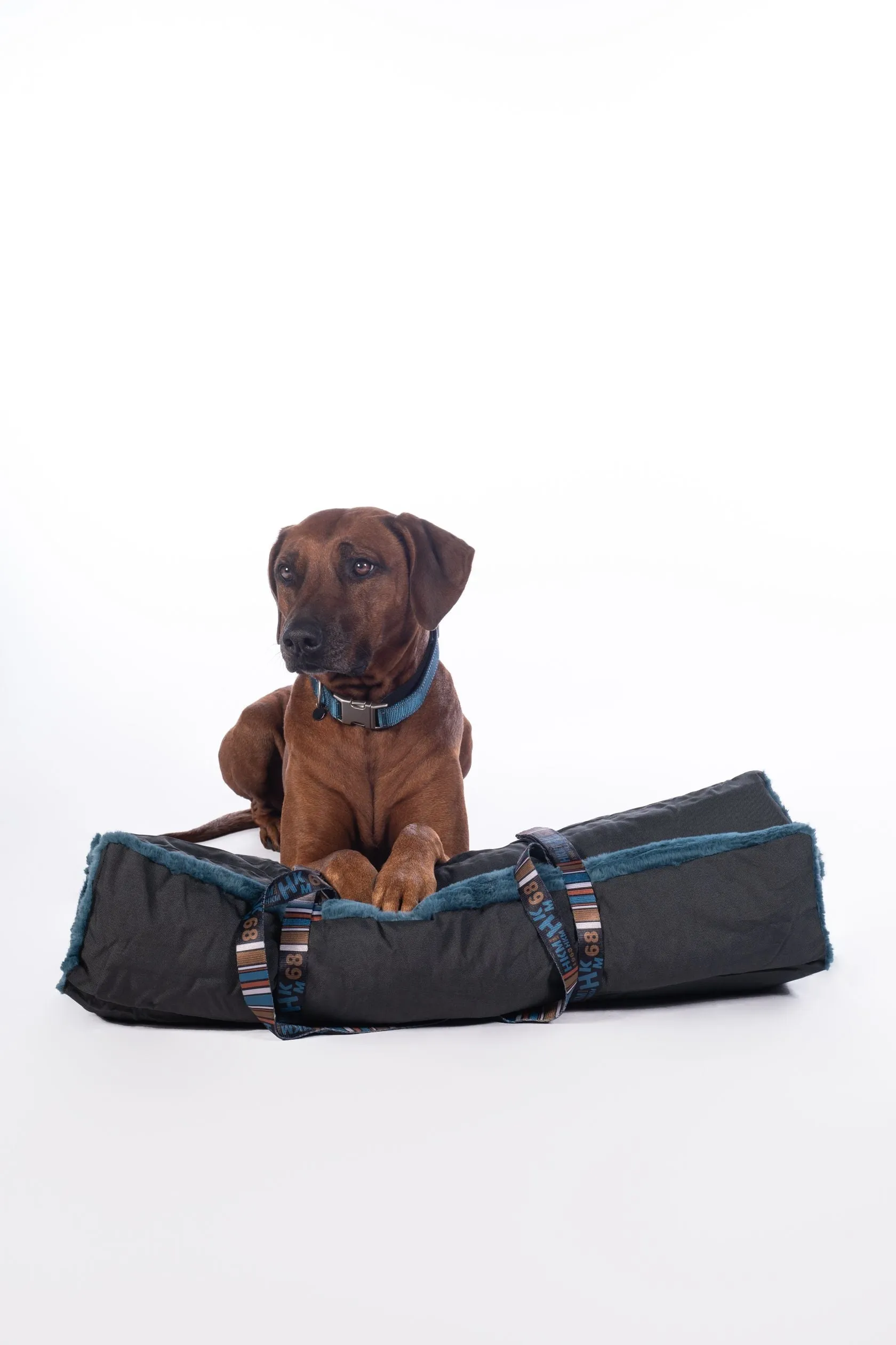 Dog Blanket Anam Cara Travel
