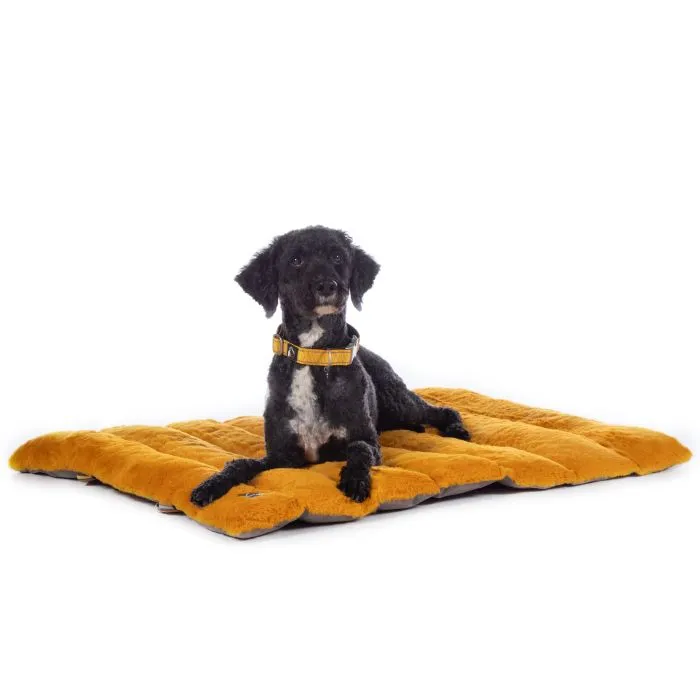 Dog Blanket Anam Cara Travel