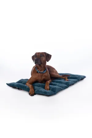 Dog Blanket Anam Cara Travel