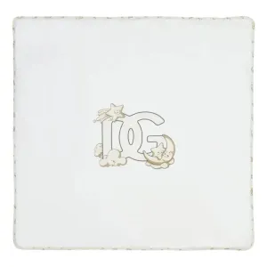 Dolce & Gabbana Beige DG Logo Blanket