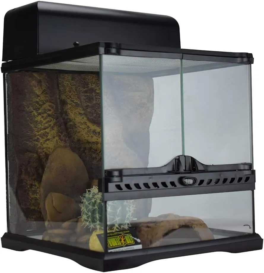 Exo Terra Desert Habitat Kit, Reptile Terrarium Starter Kit, Small, PT2650A1