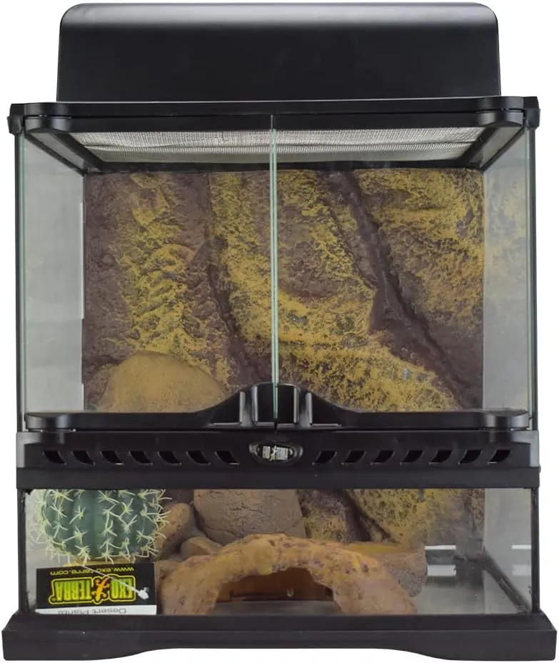 Exo Terra Desert Habitat Kit, Reptile Terrarium Starter Kit, Small, PT2650A1