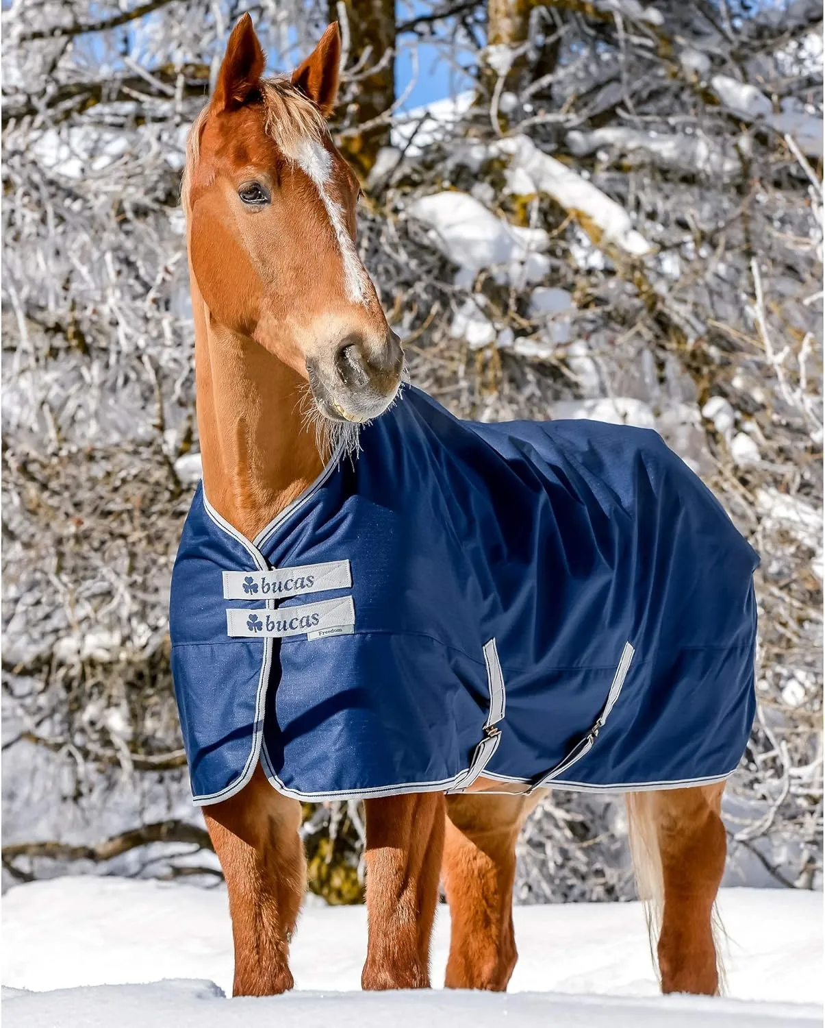 Freedom Extra Turnout Blanket