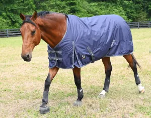 Gatsby 600D Mediumweight 200gm Waterproof Turnout Blanket