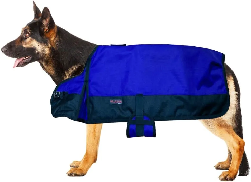 HILASON 200 GSM 600D Winter Dog Blanket - Royal Blue Black | Waterproof Warm Jacket for Snow Cold Weather