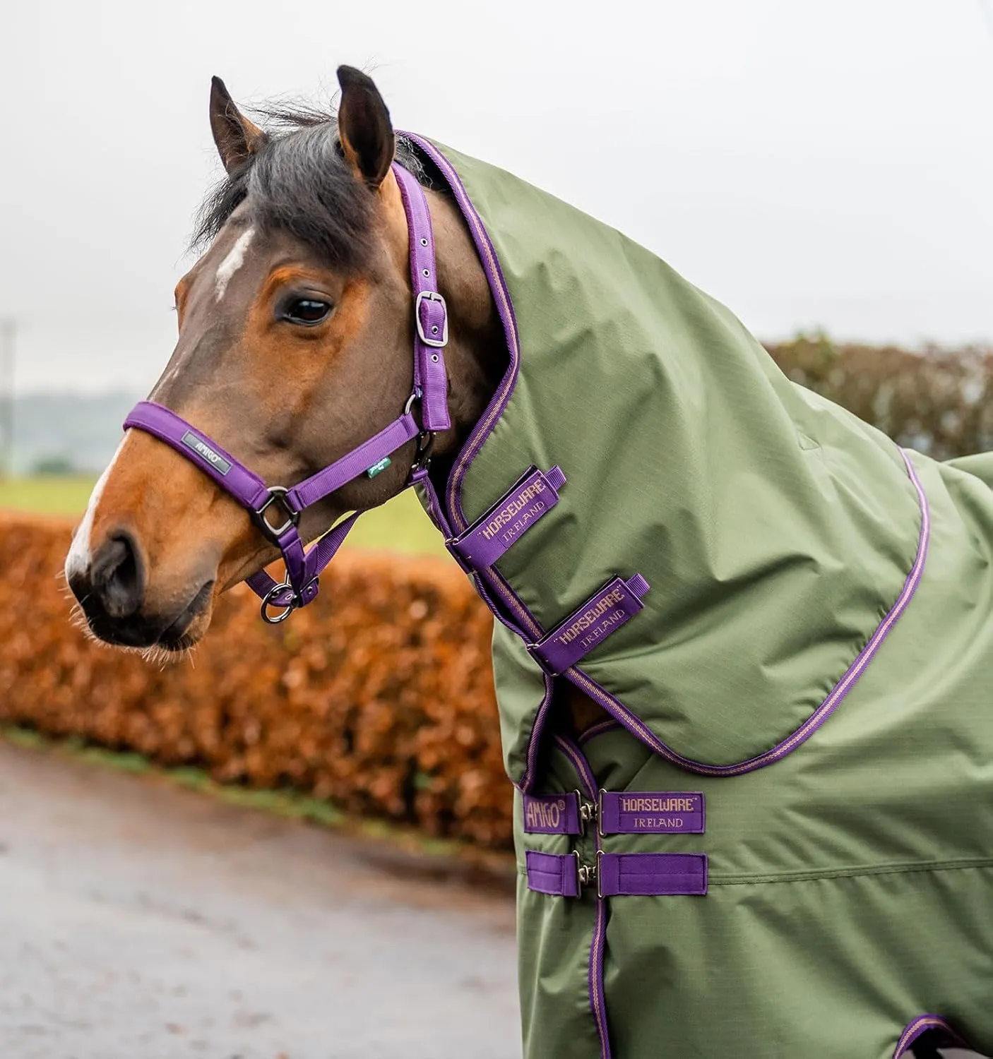 Horseware® Amigo® Hero Ripstop Plus Turnout (0g Light)