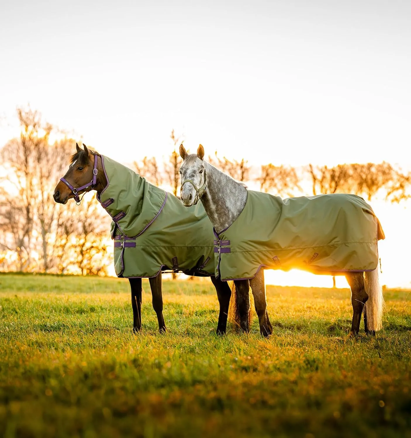 Horseware® Amigo® Hero Ripstop Plus Turnout (0g Light)