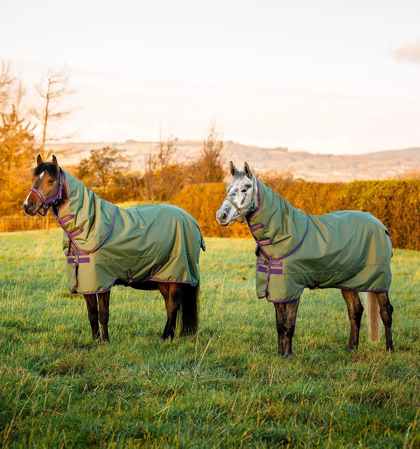 Horseware® Amigo® Hero Ripstop Plus Turnout (0g Light)