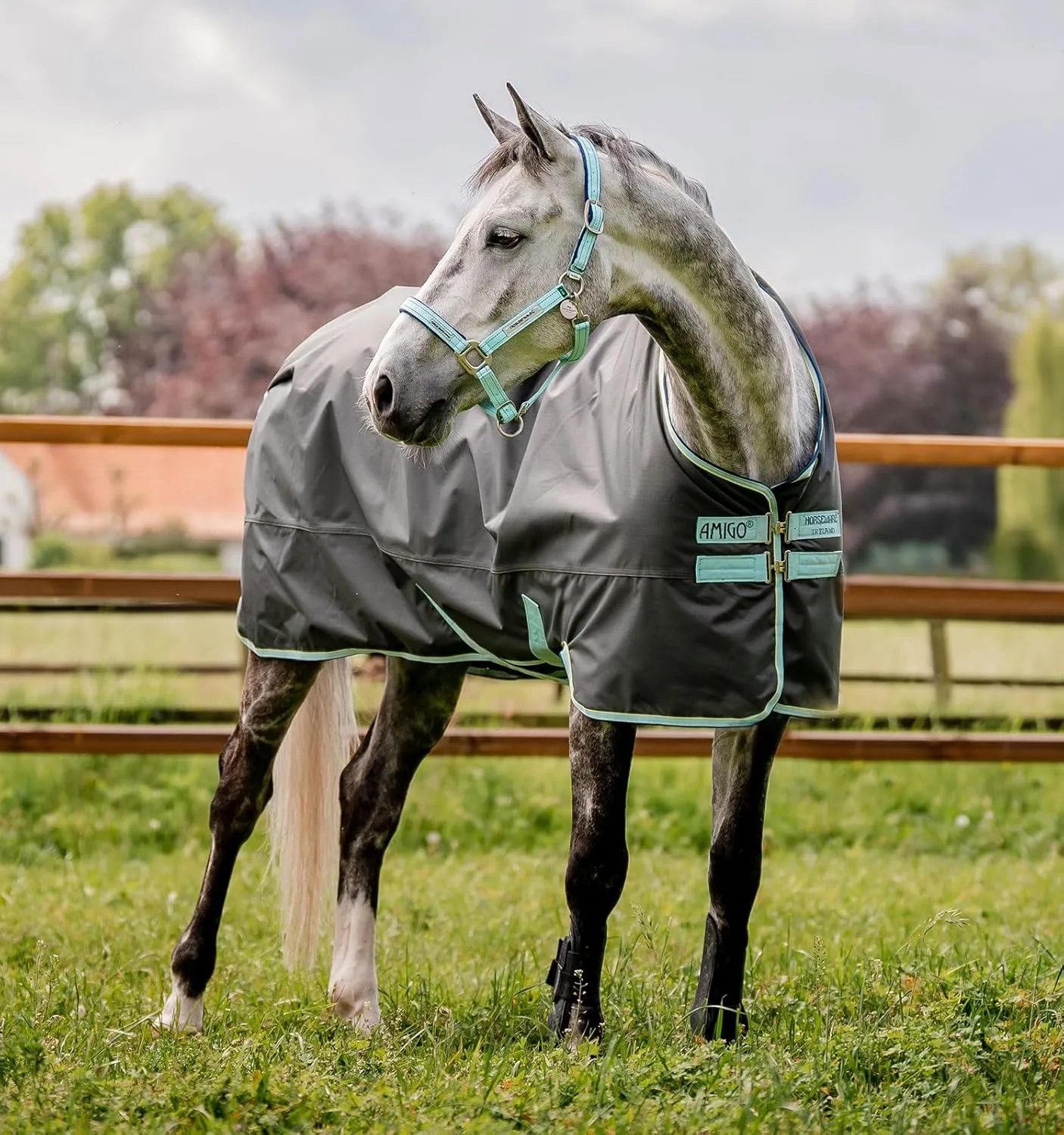 Horseware® Amigo® Hero Ripstop Turnout Horse Blanket (50g Light)