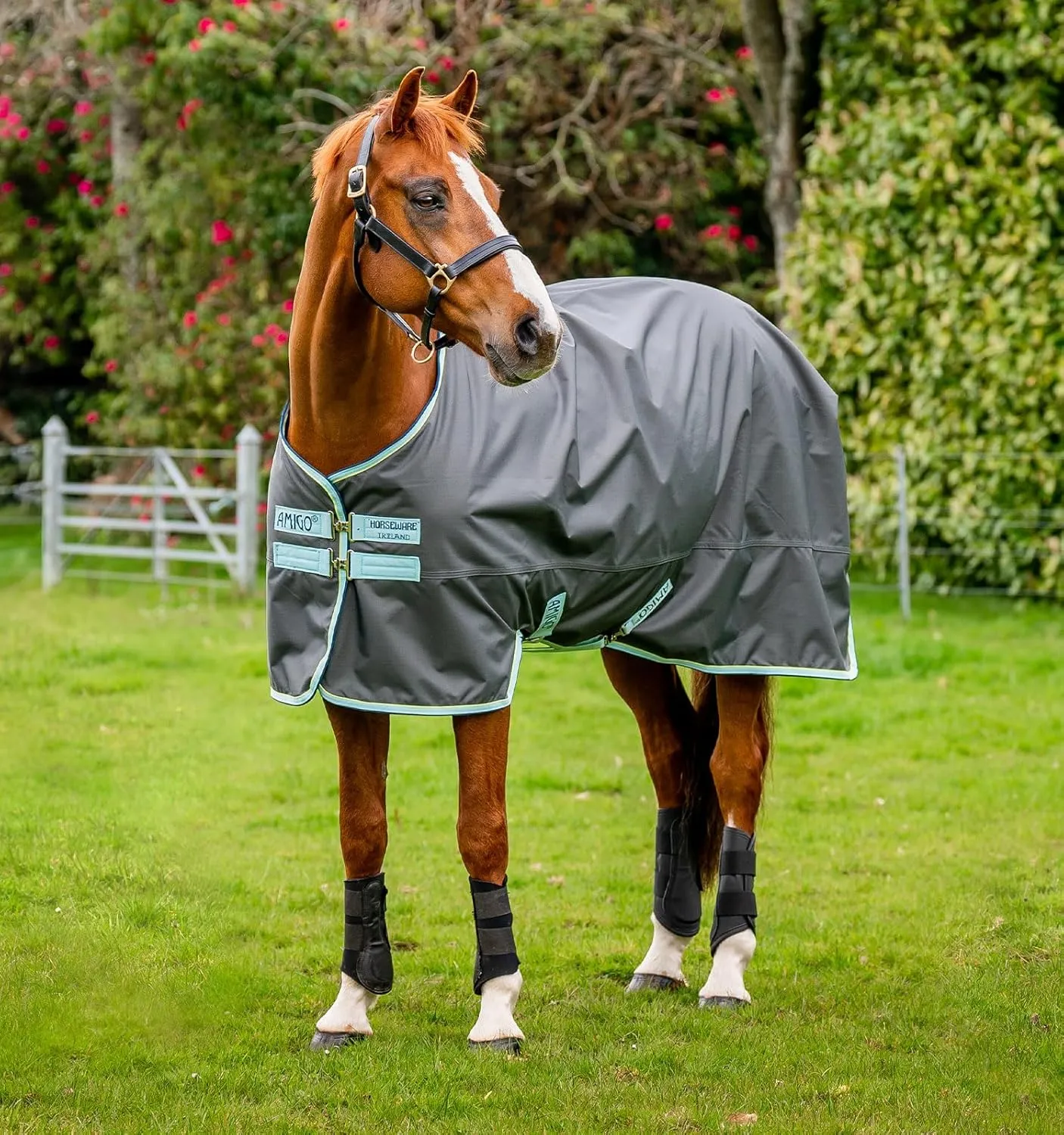 Horseware® Amigo® Hero Ripstop Turnout Horse Blanket (50g Light)