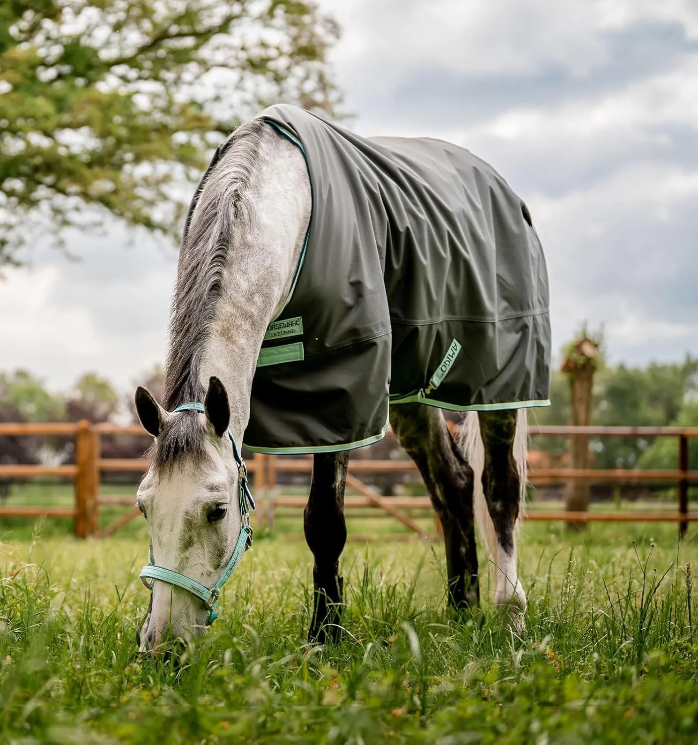 Horseware® Amigo® Hero Ripstop Turnout Horse Blanket (50g Light)