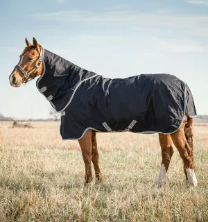 Horseware® Amigo® Stock Horse Plus Turnout (0g Light)