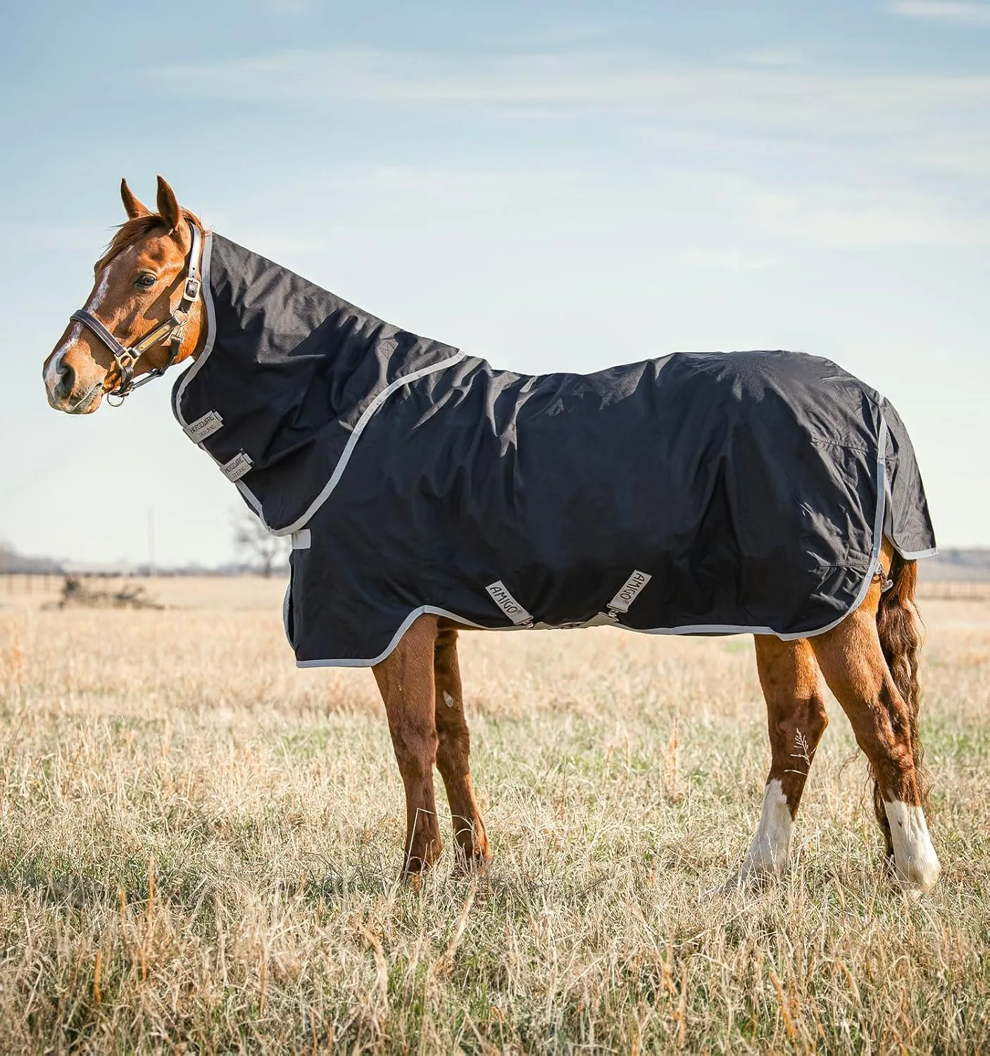 Horseware® Amigo® Stock Horse Plus Turnout (0g Light)
