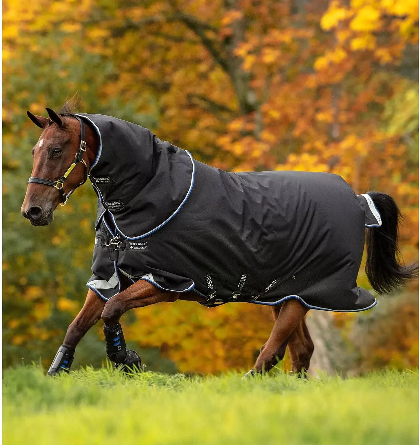HORSEWARE Ireland Amigo Bravo 12 Plus Medium Weight Waterproof Breathable Horse Turnout Blanket, 250G, Black/Strong Blue/Black, 87