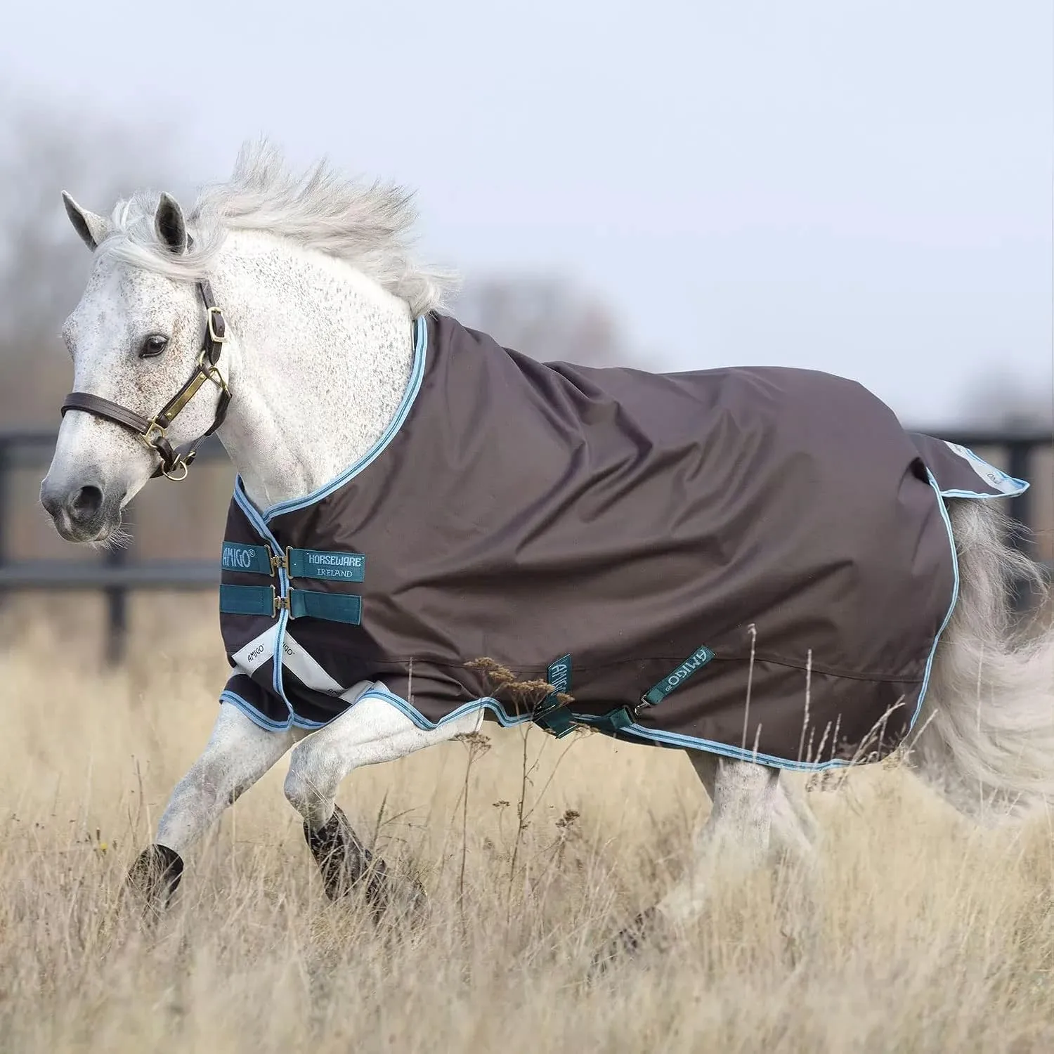 HORSEWARE Ireland Amigo Bravo 12 Plus Pony 0g Lite Waterproof Breathable Durable Turnout Blanket with Removable Hood, Excalibur/Aqua & Turquoise, 54