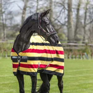 HORSEWARE Ireland Rambo Deluxe Fleece Blanket, Color: Witney Gold, Size: 81 (ACAF9D-VRK0-81)