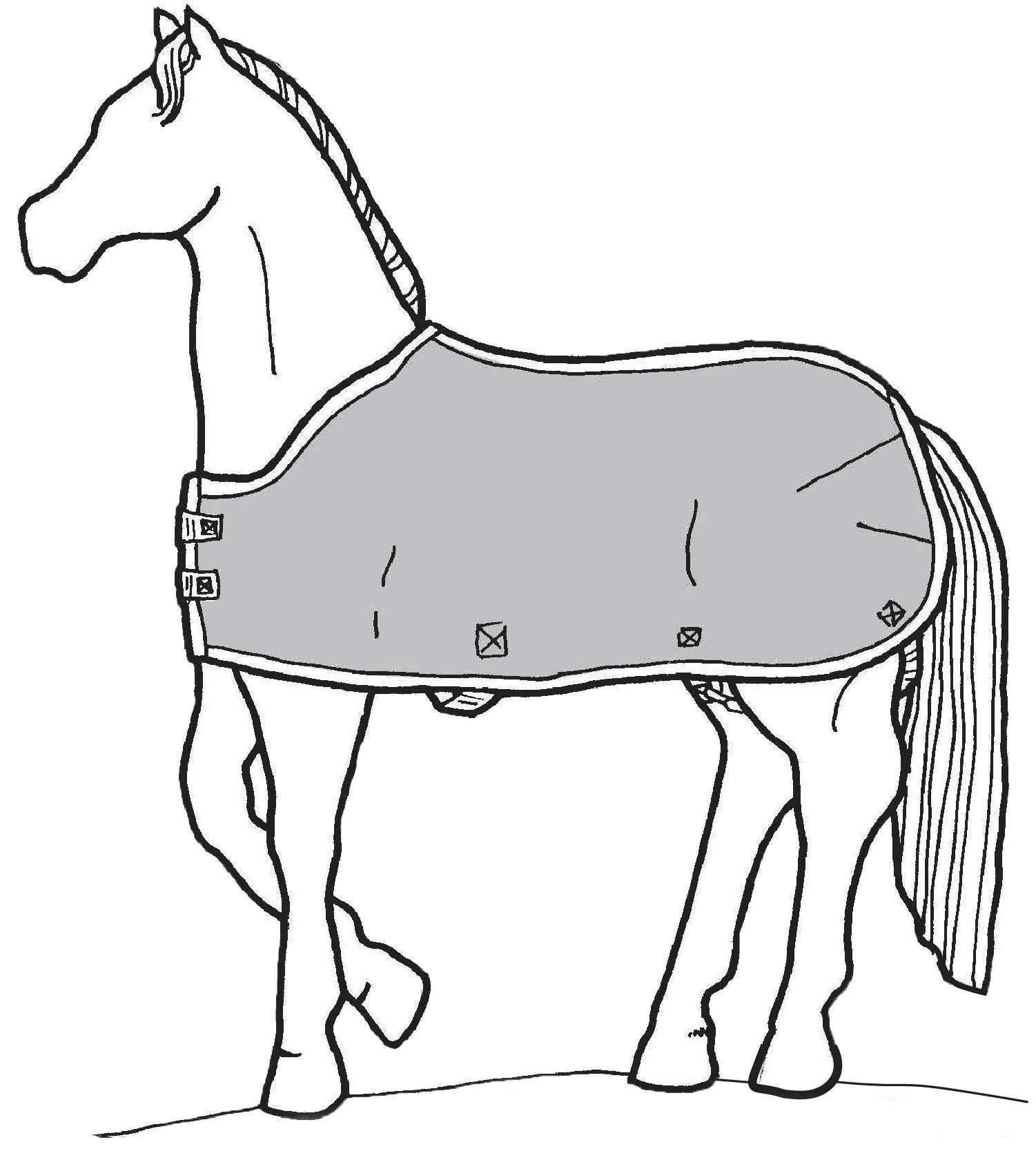 How To: Horse Blanket