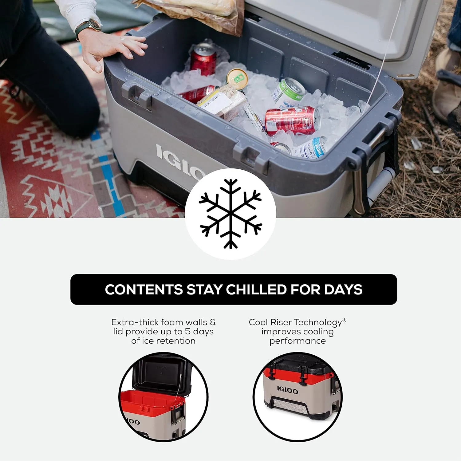 Igloo BMX Hard Coolers (25-72QT)