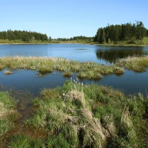 Ignition Pack - Wetland Ecosystems Unit