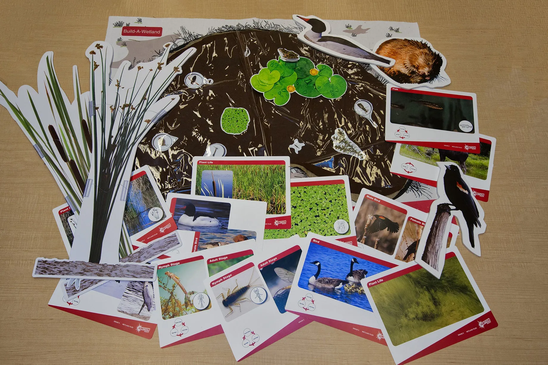 Ignition Pack - Wetland Ecosystems Unit