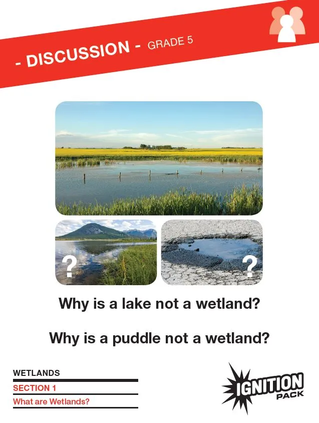 Ignition Pack - Wetland Ecosystems Unit