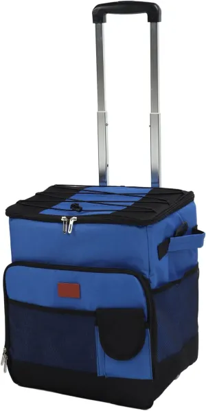 Insulated Cooler Bag, 35L Oxford Cloth Aluminum Foil Anti Leakage Portable Rolling Cooling Bag for Outdoor, Camping, BBQ, Party