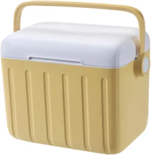 Insulated Cooler Box 6L Portable Ice Chest for Travel Outdoor Camping BBQ Cream Yellow
