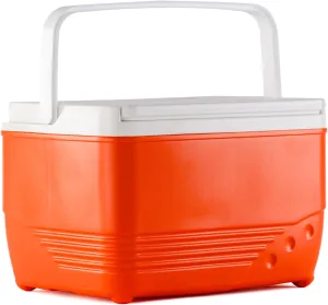 Insulated Ice Cooler Portable Ice Box Hard Heavy Duty Small Ice Chest for Camping, Tailgating, Beach, Picnic, Groceries